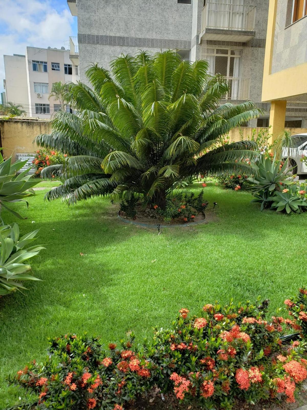 Apartamento 102 - 100M da praia do Forte Cabo Frio Exterior foto